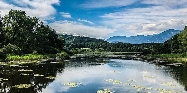 Ausflugsziele Klopeinersee Slabatnigmoor bei Führung oder Aktivitäten in Kärnten. Naturschutzgebiet in Österreich.