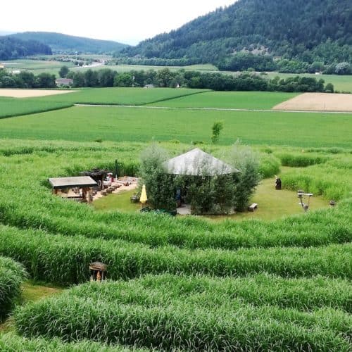 Labyrinth im Elefantengras, Ausflugsziel in Völkermarkt - Ferienregion Klopeinersee in Kärnten bei Österreich Urlaub