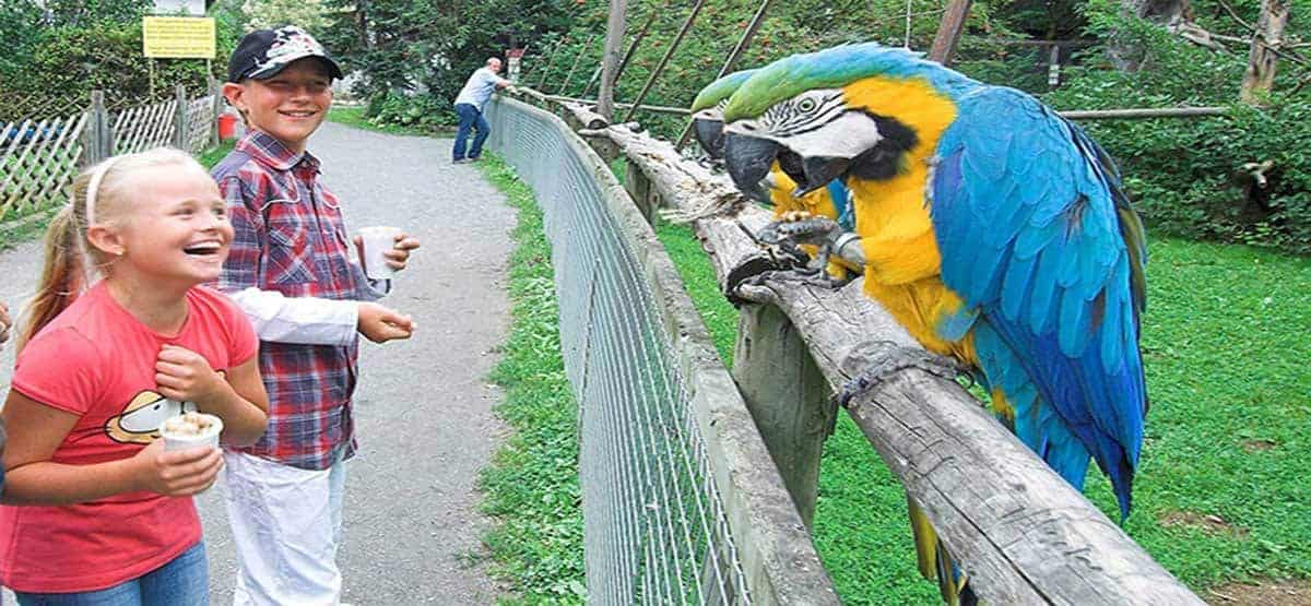 Kärnten mit Kindern im Vogelpark Turnersee mit Papageien bei Ausflug in der Region Klopeinersee in Österreich