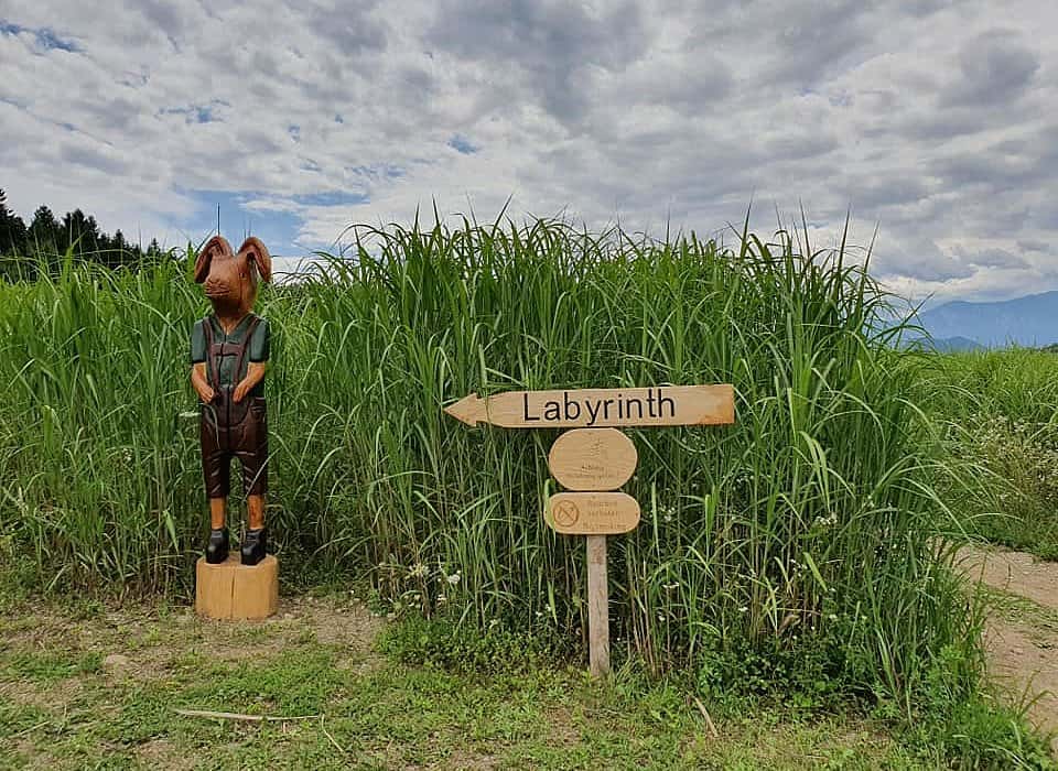 Eintritt in das Labyrinth mit Elefantengras in der Region Klopeinersee in Kärnten - neues Ausflugsziel für Familien in Kärnten bei Österreich-Urlaub.