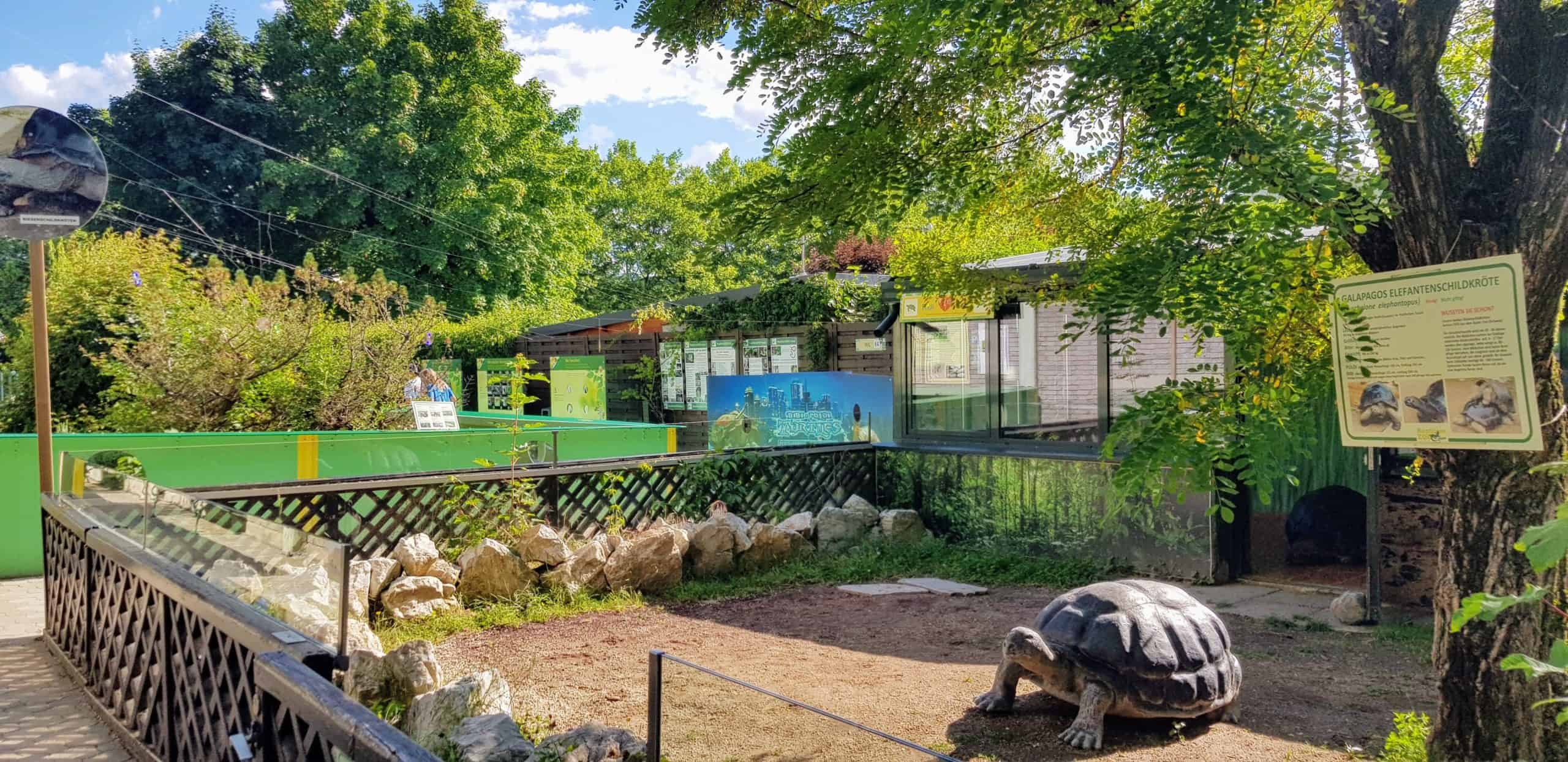 Riesenschildkröte Reptilienzoo Happ - Kärnten