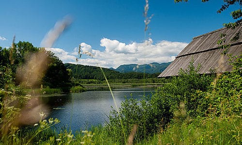 Ausflug und Wanderung zum Slabatnigmoor in der Ferienregion Klopeinersee in Kärnten. Naturschutzgebiet in Österreich.