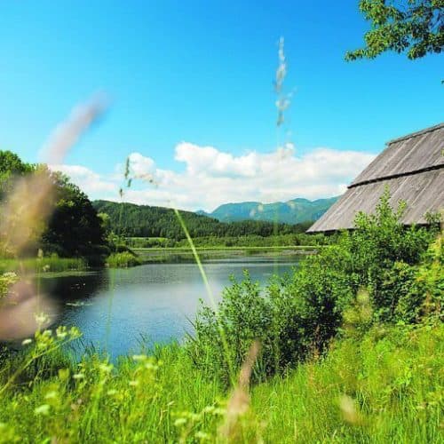 Slabatnigmoor bei Wanderung in der Urlaubsregion Klopeinersee in Kärnten. Naturschutzgebiet in Österreich.