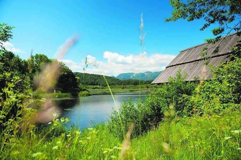 Slabatnigmoor bei Wanderung in der Urlaubsregion Klopeinersee in Kärnten. Naturschutzgebiet in Österreich.