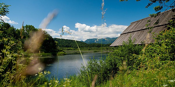 Ausflug und Wanderung zum Slabatnigmoor in der Ferienregion Klopeinersee in Kärnten. Naturschutzgebiet in Österreich.