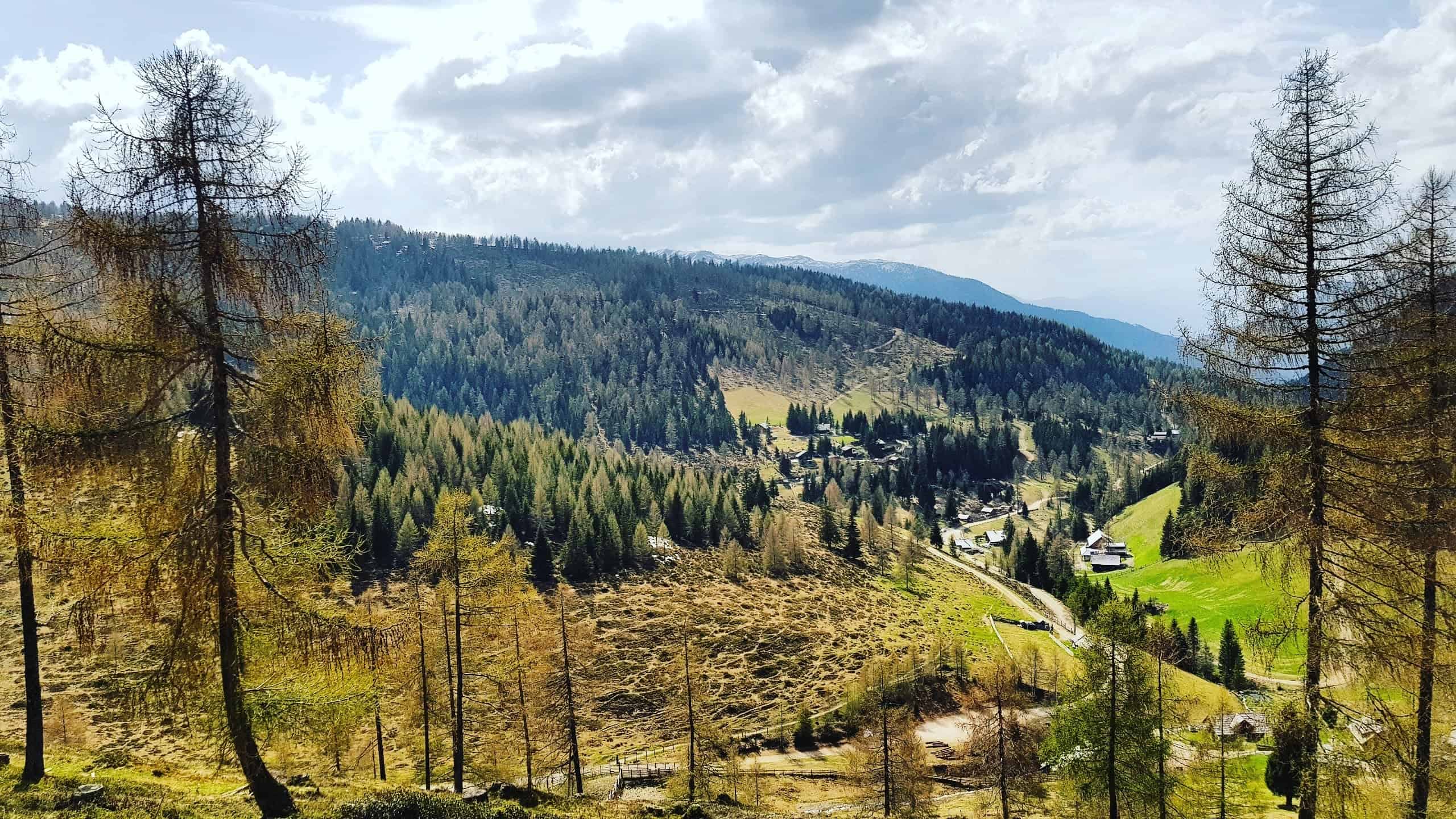 Feldpannalm in Urlaubsregion Bad Kleinkirchheim, Wandern in Österreich, Kärnten.