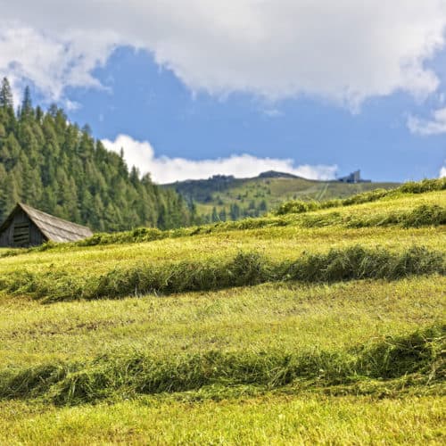 Landschaft in Bad Kleinkirchheim mit Kaiserburg im Hintergrund bei Wanderung. Aktivität bei Österreich-Urlaub in Kärnten.