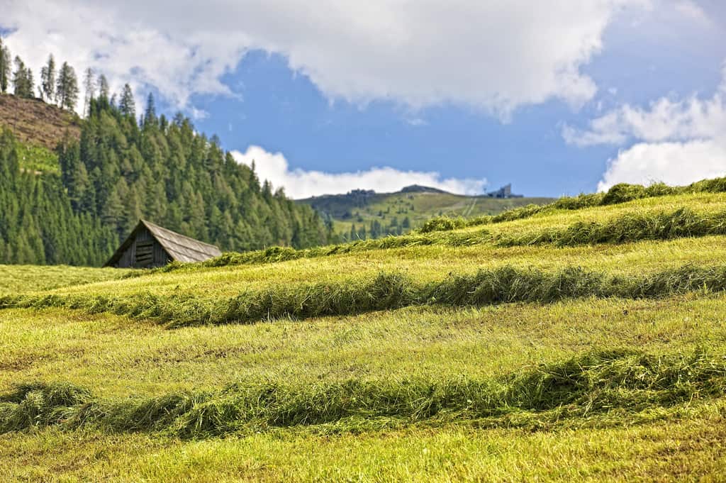 Landschaft in Bad Kleinkirchheim mit Kaiserburg im Hintergrund bei Wanderung. Aktivität bei Österreich-Urlaub in Kärnten.