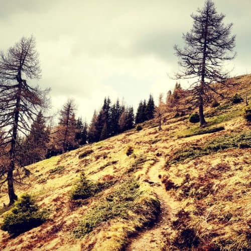 Feldpannalm Wanderung nach Bad Kleinkirchheim über Kaiserburg und Wöllaner Nock