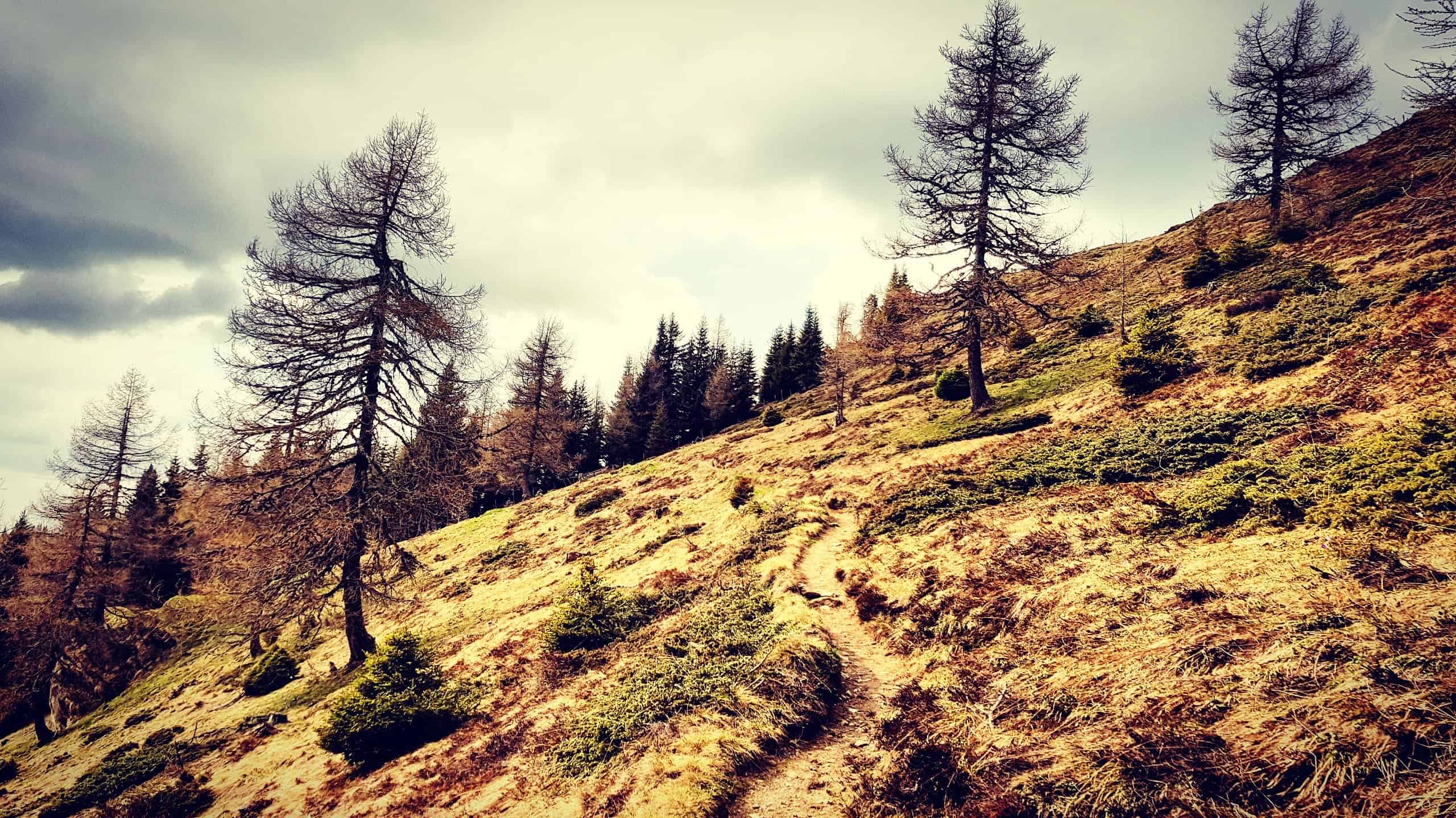 Feldpannalm Wanderung nach Bad Kleinkirchheim über Kaiserburg und Wöllaner Nock