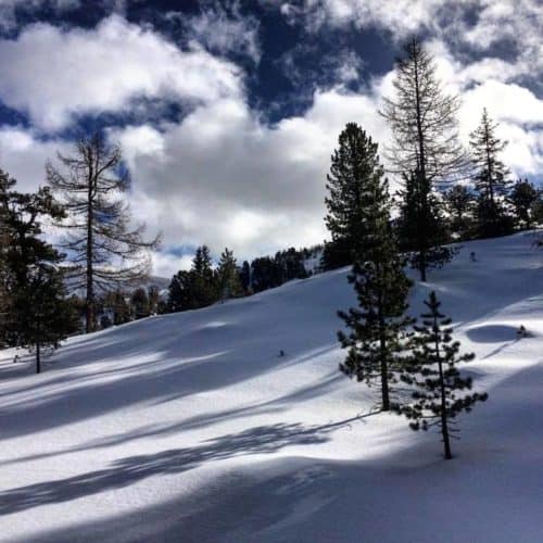 Winterlandschaft mit Schnee auf der Turracher Höhe in Kärnten & Steiermark bei Winterurlaub in Österreich