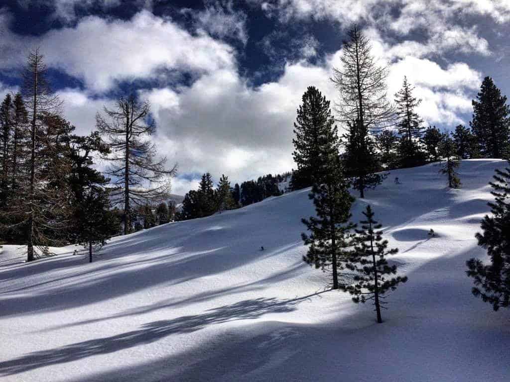 Winterlandschaft mit Schnee auf der Turracher Höhe in Kärnten & Steiermark bei Winterurlaub in Österreich