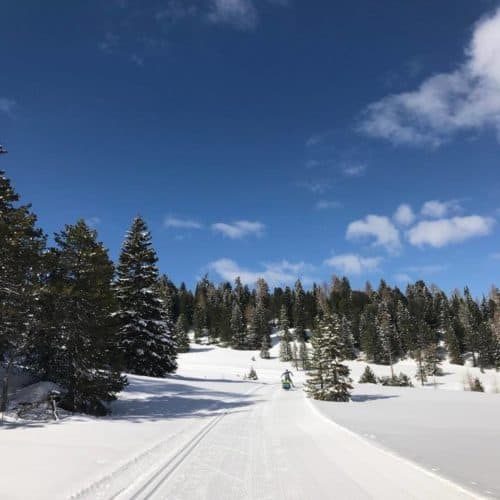 Langlauf- & Skating-Loipen auf der Turracher Höhe - Urlaubsort zwischen Steiermark & Kärnten in Österreich