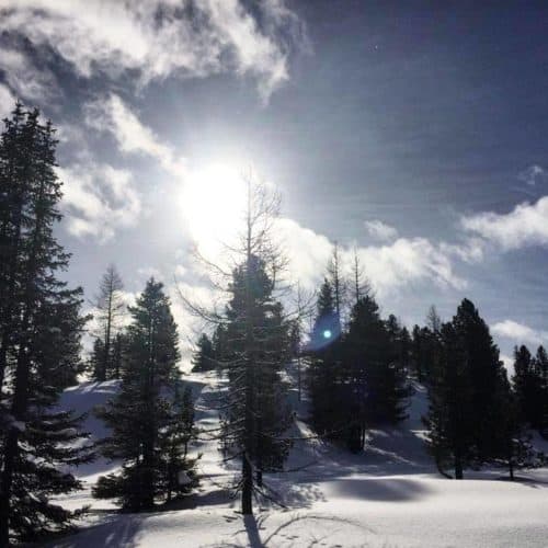 Winterlandschaft bei Schneeschuhwanderung auf der Turracher Höhe - Urlaubsort in Kärnten & Steiermark in Österreich