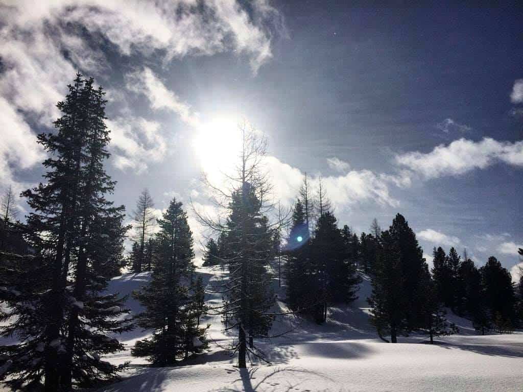 Winterlandschaft bei Schneeschuhwanderung auf der Turracher Höhe - Urlaubsort in Kärnten & Steiermark in Österreich