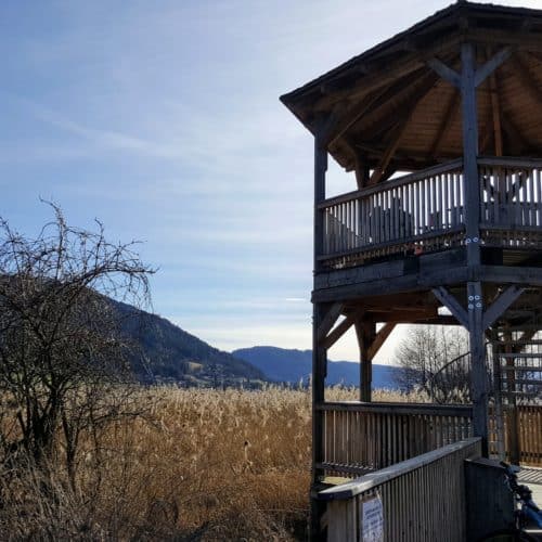 Familienwanderung entlang Bleistätter Moor - Slow Trail in Urlaubsregion Villach am Ossiacher See