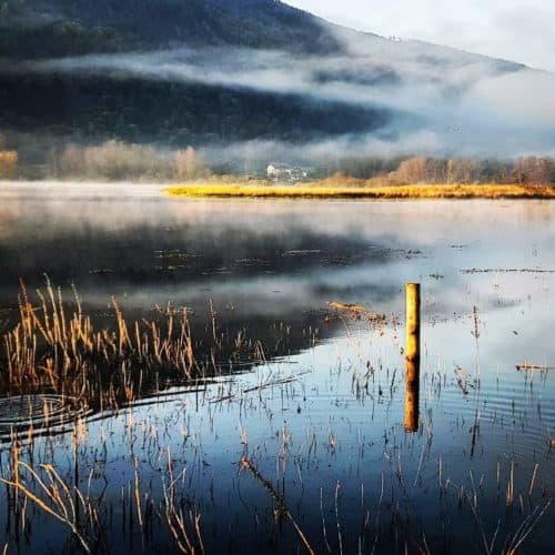 Bleistätter Moor am Ossiacher See - Region Villach in Kärnten.