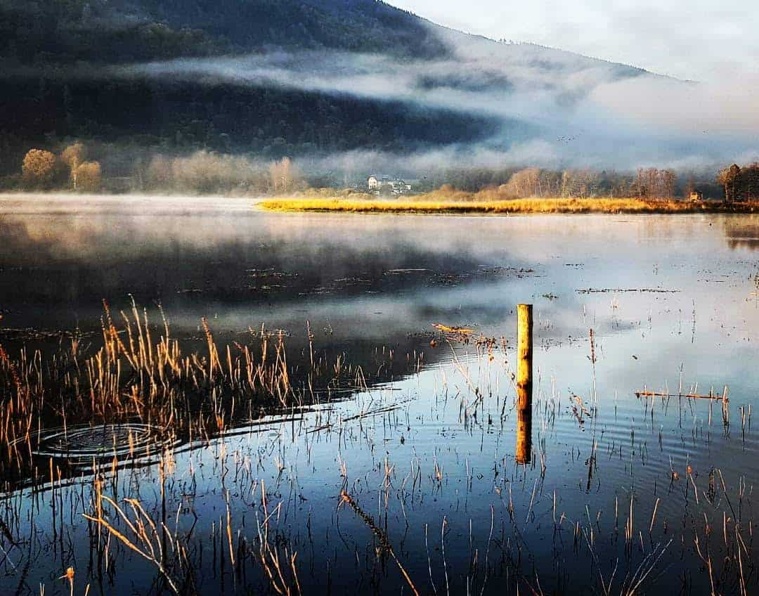 Bleistätter Moor am Ossiacher See - Region Villach in Kärnten.