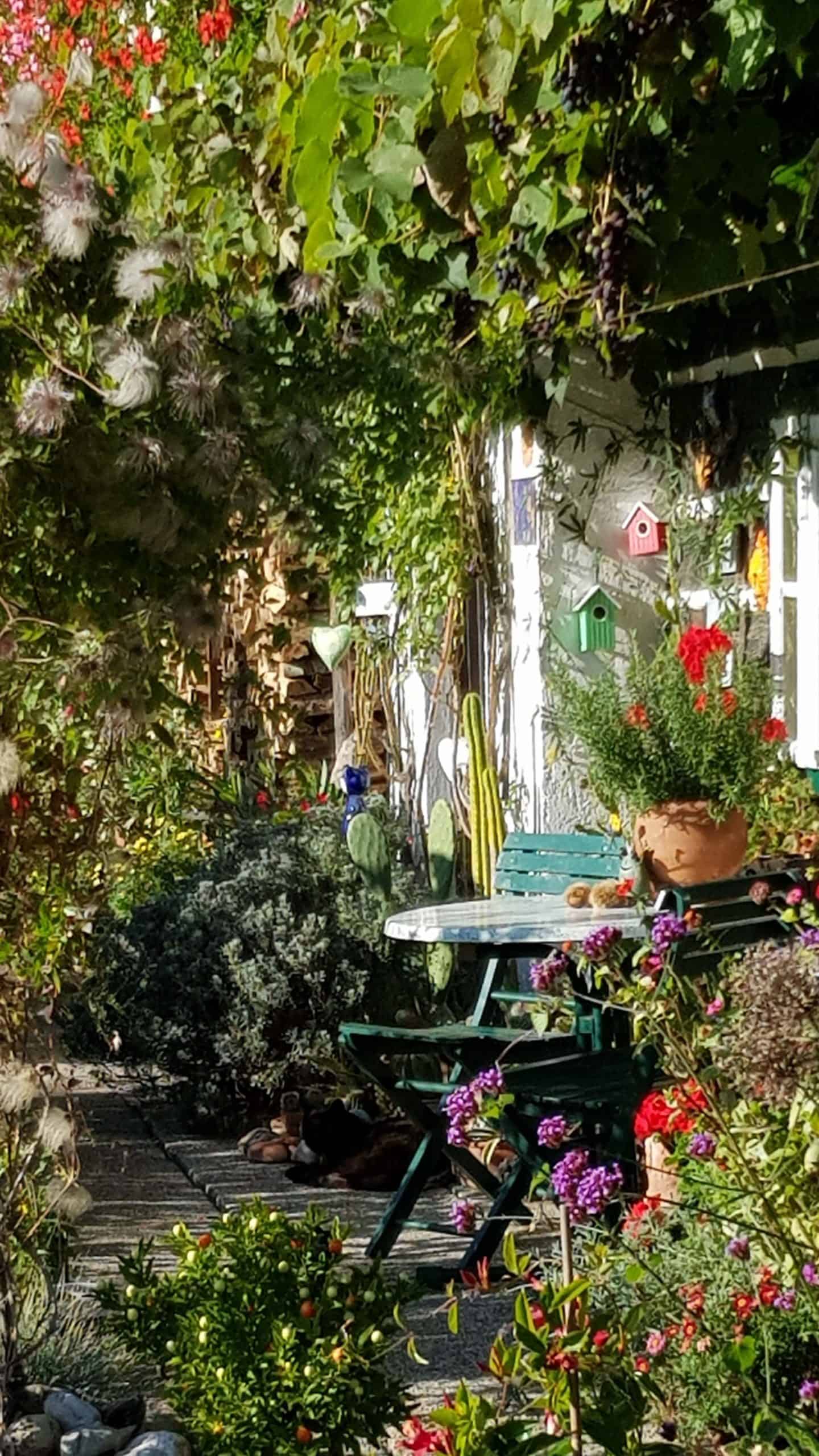 Garten, Katzen und altes Haus entlang des Slow Trails Bleistätter Moor am Ossiacher See - Urlaubsregion Villach in Kärnten, Österreich