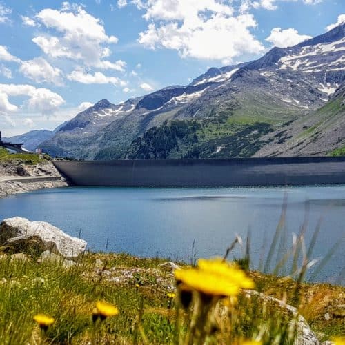 Kölnbreinsperre im Sommer mit Blumen und Stausee - Ausflugsziel in Kärnten, Österreich. Panoramastraße Malta Hochalmstraße