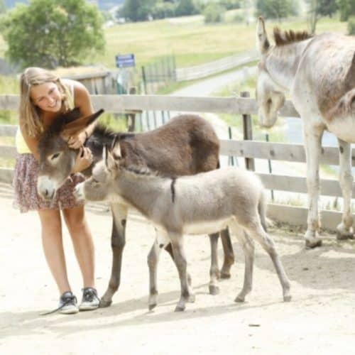 Besucherin mit Esel bei Frühlings-Ausflug in den Eselpark im Maltatal - Ausflugsziel in Kärnten, Österreich