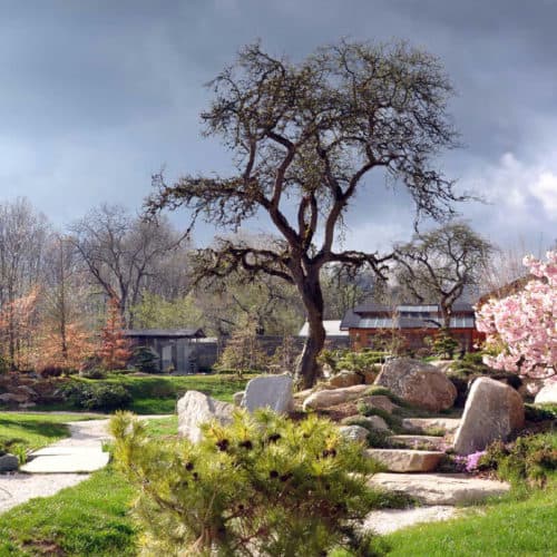 Ausflugsziel Bonsaimuseum in Seeboden am Millstätter See im Frühling