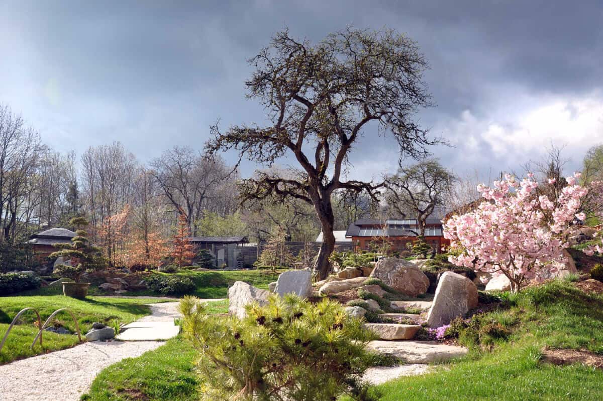 Ausflugsziel Bonsaimuseum in Seeboden am Millstätter See im Frühling