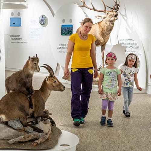 Familie mit Kindern bei Ausflug im Nationalpark Besucherzentrum Mallnitz in der Urlaubsregion Hohe Tauern Kärnten