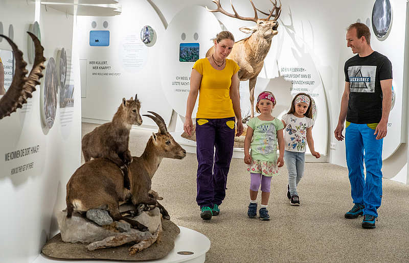 Familie mit Kindern bei Ausflug im Nationalpark Besucherzentrum Mallnitz in der Urlaubsregion Hohe Tauern Kärnten