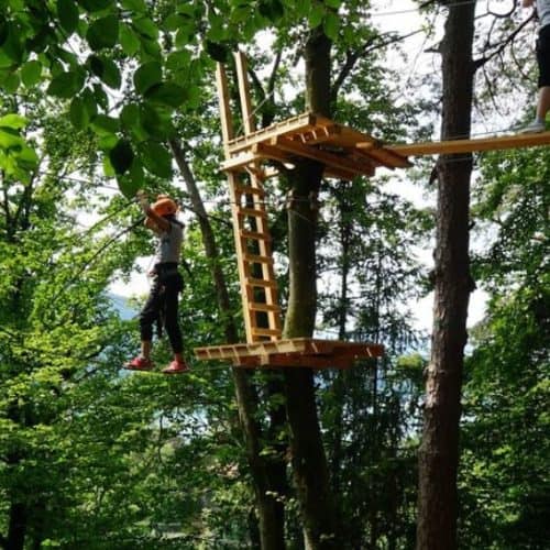 Ausflugsziel Waldseilpark Pörtschach am Wörthersee