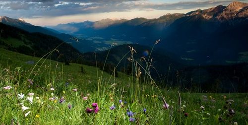 Wanderung auf die Mussen, Blumen- & Wanderparadies im Lesachtal - Kärnten