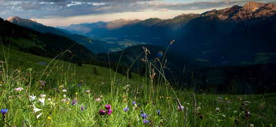 Wanderung auf die Mussen, Blumen- & Wanderparadies im Lesachtal - Kärnten