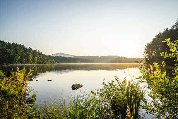 Aktivitäten am Wörthersee: Slow Trail Römerschlucht mit Wanderung zum Forstsee bei Velden