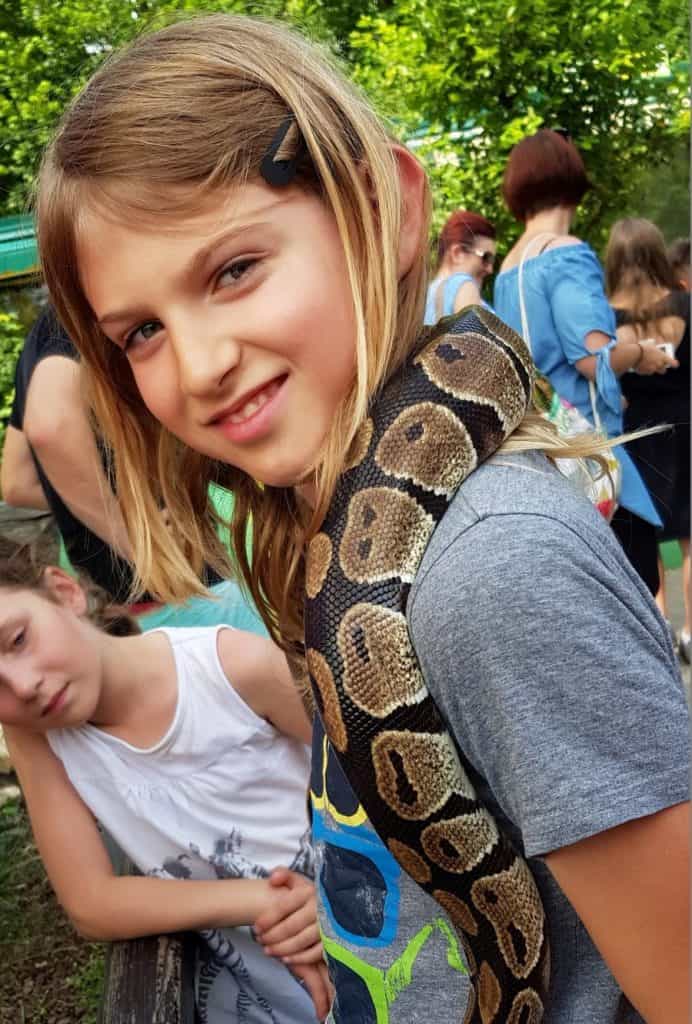 TOP Aktivitäten mit Kindern in Kärnten - Schlange um Hals im Reptilienzoo