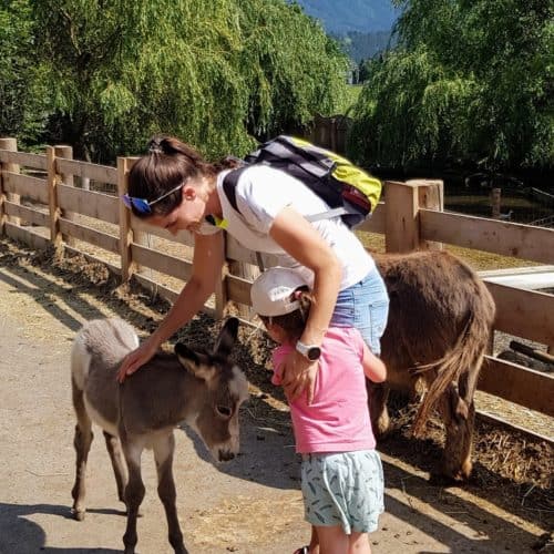 Mit Kindern im Eselpark Maltatal in Kärnten - auch für kleine Kinder geeignet