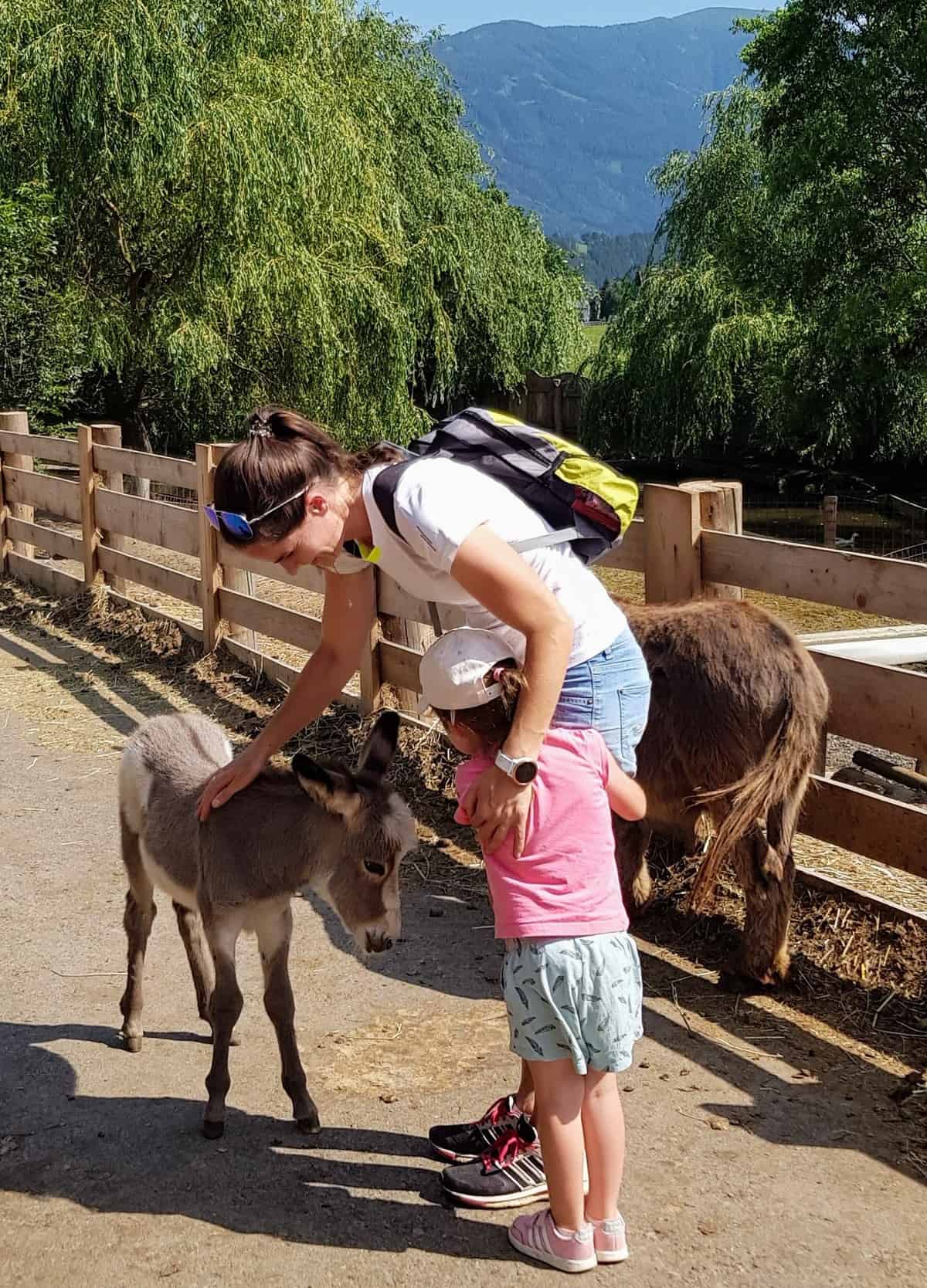 Mit Kindern im Eselpark Maltatal in Kärnten - auch für kleine Kinder geeignet