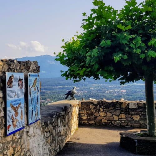 Greifvogelpark & Zoo auf Burg Landskron in Kärnten - Adlerarena Greifvogelwarte