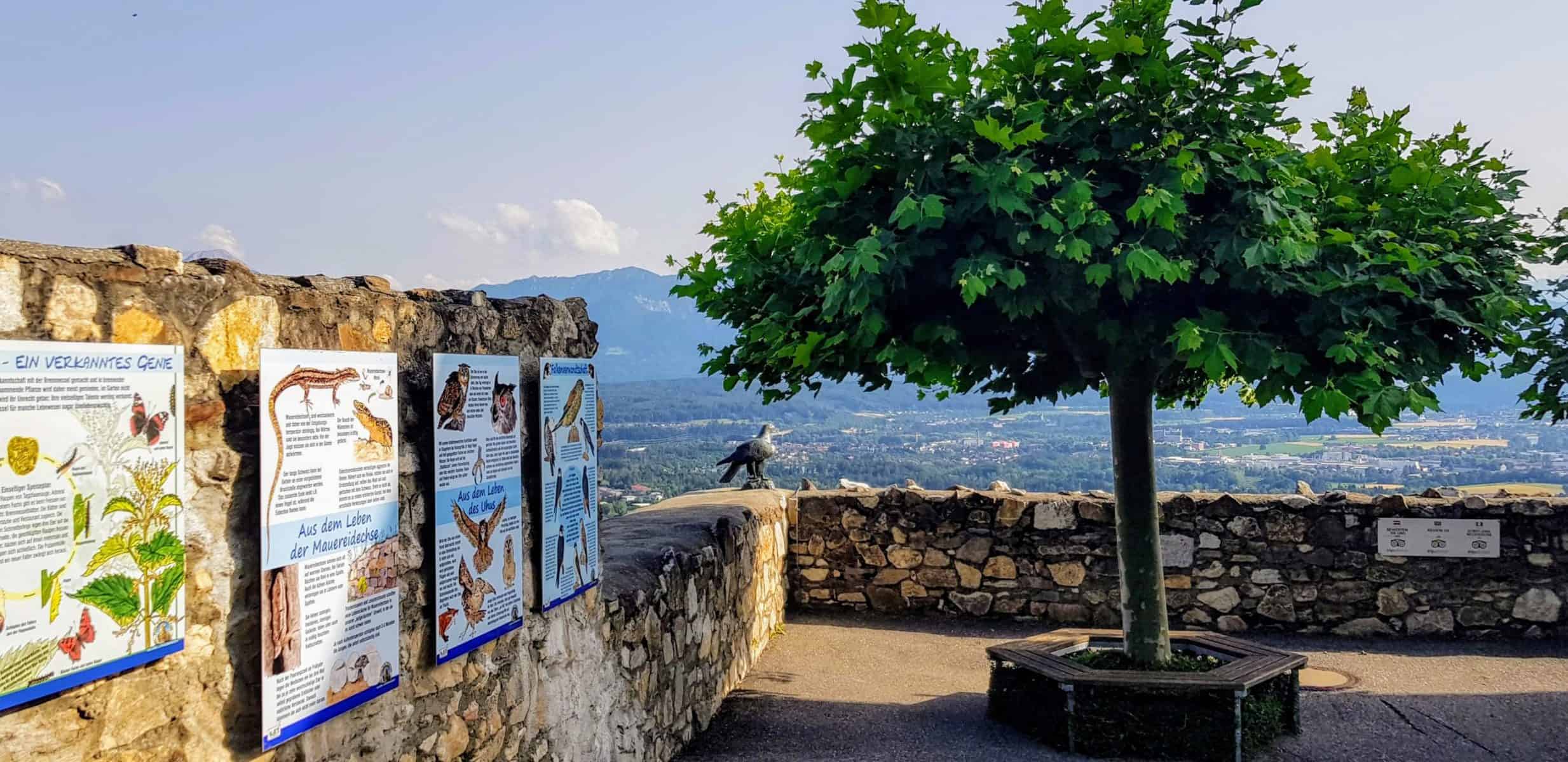 Greifvogelpark & Zoo auf Burg Landskron in Kärnten - Adlerarena Greifvogelwarte