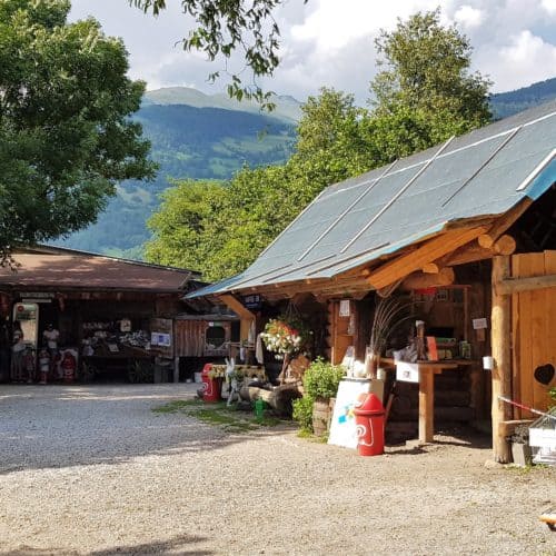 Eselpark Maltatal im Nationalpark Hohe Tauern Kärnten eignet sich auch für Ausflüge mit Kleinkindern