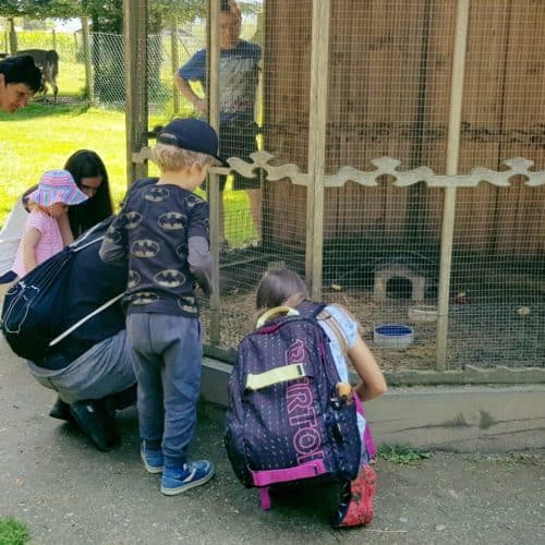 Familie im Streichelzoo im Tierpark Rosegg im Rosental, Kärnten