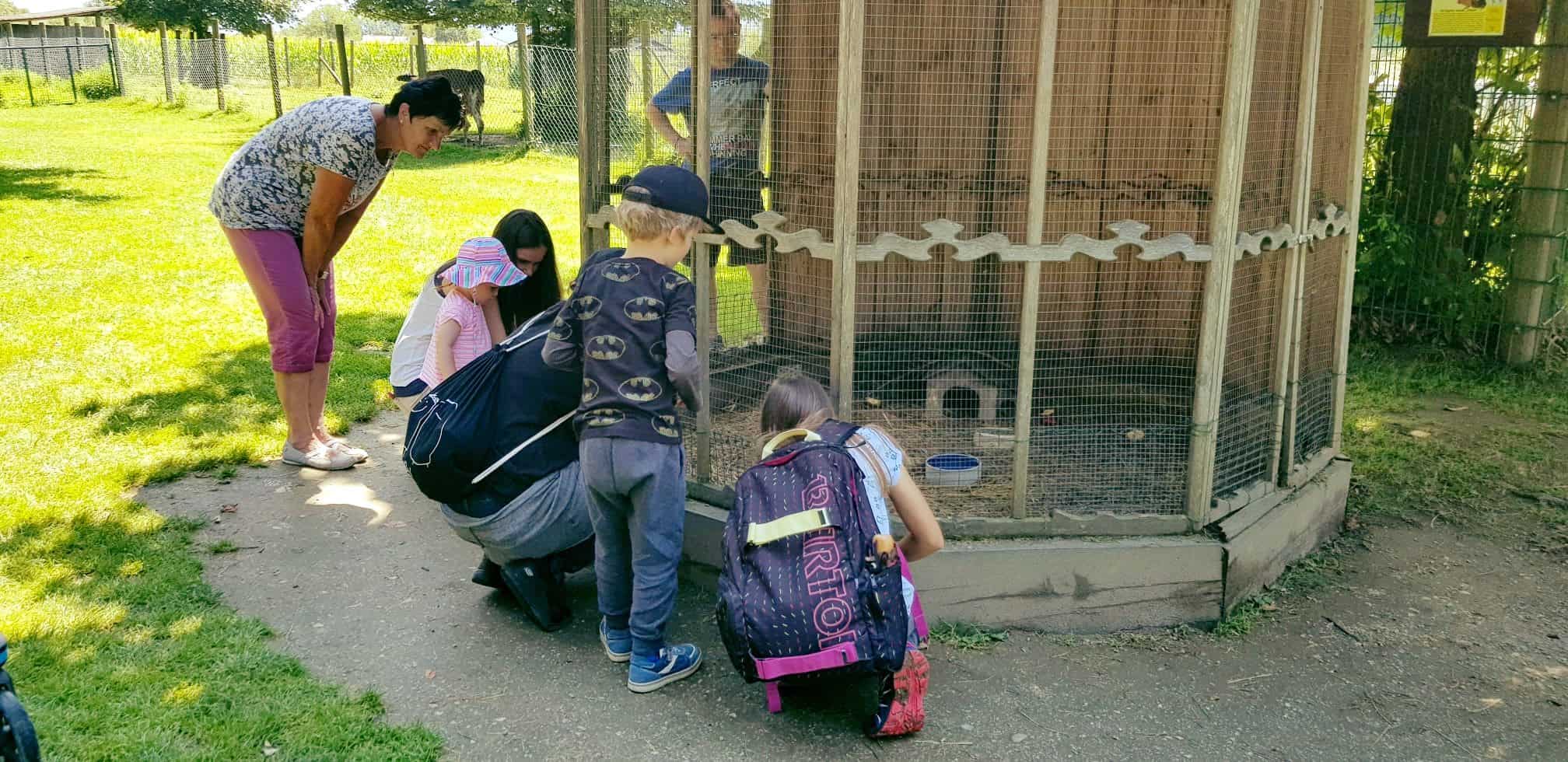 Familie im Streichelzoo im Tierpark Rosegg im Rosental, Kärnten