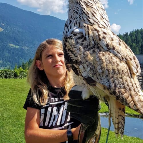 Tiererlebnis mit Kindern auf der Adlerarena Burg Landskron - Foto-Gutscheine mit Sibirischem Uhu bei Adlershow, Region Villach am Ossiacher See in Österreich