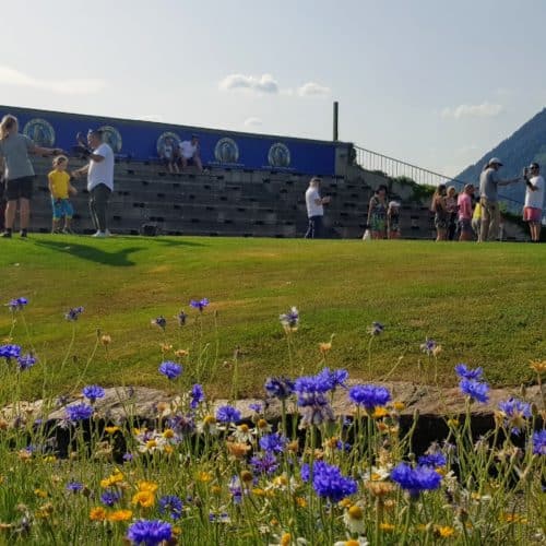 Adlerarena Burg Landskron im Sommer nach der Greifvogelschau