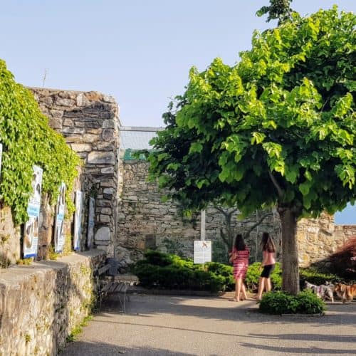 Greifvogelpark & Zoo Adlerarena Burg Landskron im Sommer