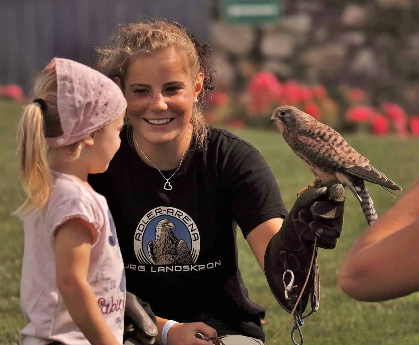 Kind mit Falke nach Adlershow in Landskron auf Adlerarena Burg Landskron - familienfreundliches Ausflugsziel in Kärnten