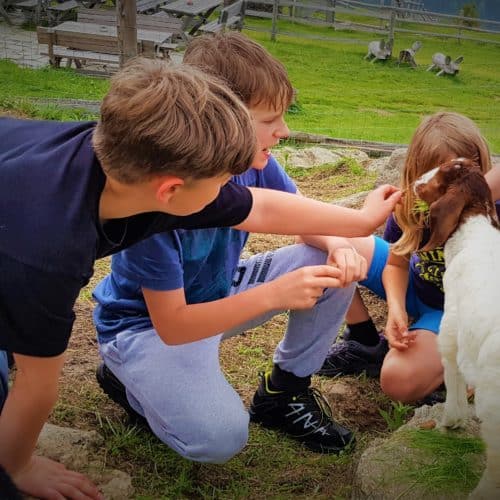 Kinder mit Ziege bei Familienwanderung auf eine Hütte am Millstätter See in Kärnten