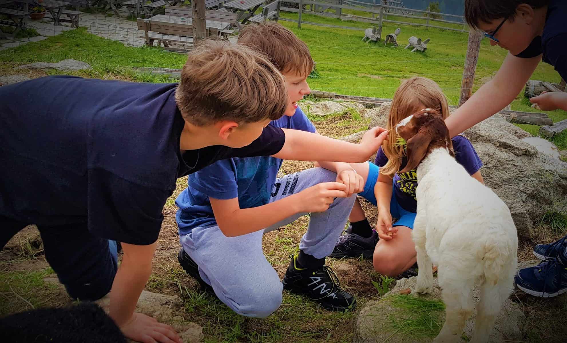 Kinder mit Ziege bei Familienwanderung auf eine Hütte am Millstätter See in Kärnten