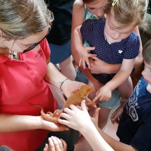 Kinder mit Eidechse bei Führung im Reptilienzoo Happ - familienfreundliches Ausflugsziel in Klagenfurt am Wörthersee