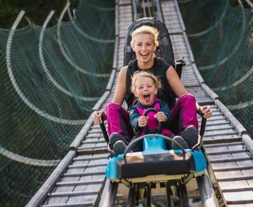 Action für die ganze Familie im Nocky Flitzer - TOP Ausflugsziel & Rodelbahn für Sommer und Winter auf der Turracher Höhe zwischen Kärnten & Steiermark